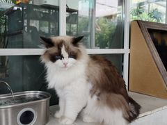 -小时光咖啡馆(北锣鼓巷店)