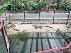 -呀路古热带植物园