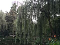 -墅园