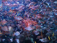 -成都浩海立方海洋公园