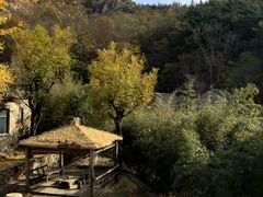 -无染寺