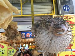 -大澳渔村及棚屋
