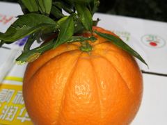 -别院里音乐餐酒吧(双流航空港店)