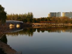 -大兴滨河森林公园