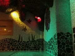 -碧中海汤泉汗蒸酒店