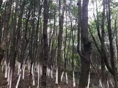 -艾溪湖湿地公园