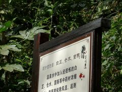 -宁海森林温泉