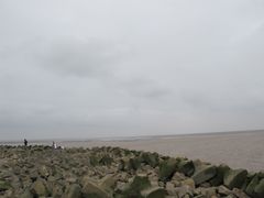 -南汇嘴观海公园