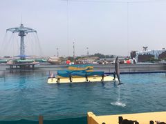 -秦皇岛乐岛海洋王国