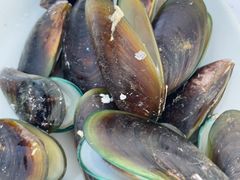 -蓝湾碧波·老字号·疍家非遗海上餐厅