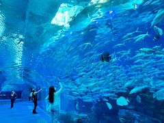 -波塞冬旅游度假区