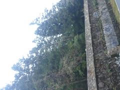 -井冈山风景名胜区-黄洋界