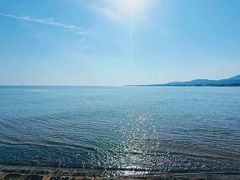 -老张烤羊(王哥庄店)