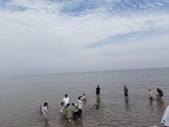 -南汇嘴观海公园