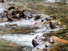 -西岭雪山大飞水景区