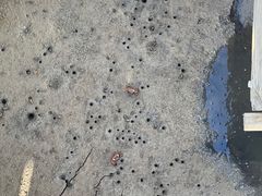 -北海金海湾红树林生态旅游区