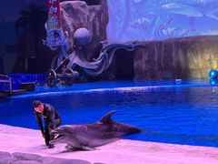 -华夏文旅海洋公园