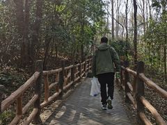 -青龙山国家森林公园