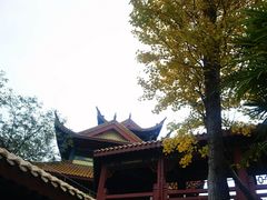 -富乐山