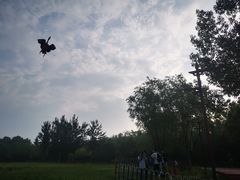 -北京麋鹿生态实验中心