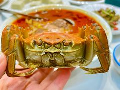 -蟹天蟹地农家菜·阳澄湖大闸蟹(浅水湾店)