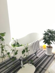 -焦点儿童摄影(汕头苏宁店)