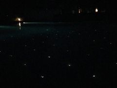 android_upload_pic-三亚海棠湾万丽度假酒店