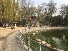 -莲湖公园