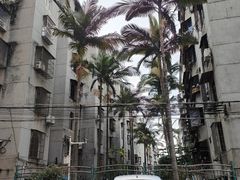 -花园新村肉菜市场(市场路店)