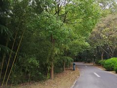 -春兰国宾馆(凤城河风景区老街店)