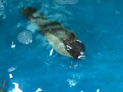 -聚德福海鲜家常菜(刘庄店)