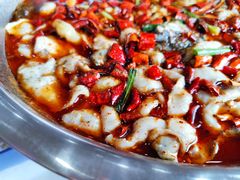 -老四川平头酸菜鱼(衙前店)