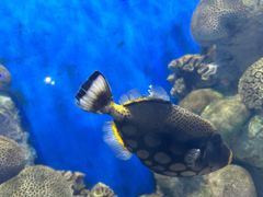 -福州罗源湾海洋世界旅游区