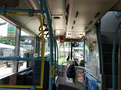 -Big Bus Tours 敞篷观光巴士