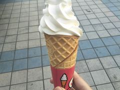 -蜜雪冰城·冰淇淋与茶(福大店)