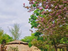 -天怡·鱼工厂(梅溪湖店)