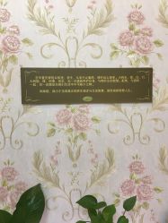 -诗媛嘉美健康管理中心(金桥店)
