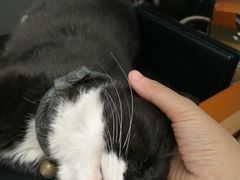 -研途咖啡馆(健康路店)
