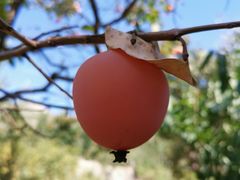 -青州市云门山风景区