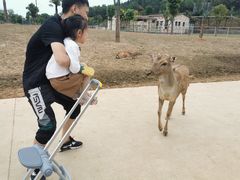 -安徽大青山野生动物世界