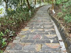 -广州白江湖森林公园