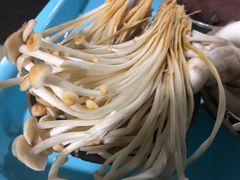 金针菇-星鸿社重庆老火锅