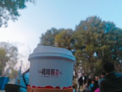 -鸡鸣赐茶(鸡鸣寺路店)
