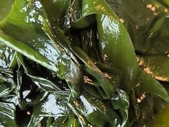 -老员外骨汤火锅(海州古城店)