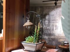 -梵猫·新养生(福州万象城店)