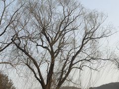 -黄河小浪底水利枢纽风景区