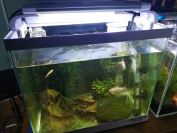 -椿树下·Tattoo纹身工作室