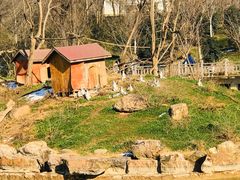 -合肥野生动物园