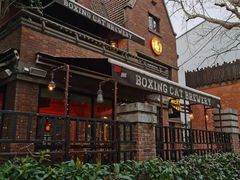 -Boxing Cat Brewery拳击猫精酿啤酒馆(永福店)