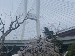 -上海黄浦旅游集散站售票处